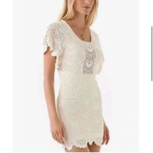 NIGHTCAP Lace Fitted Mini‎ Dress NWT Sz 2